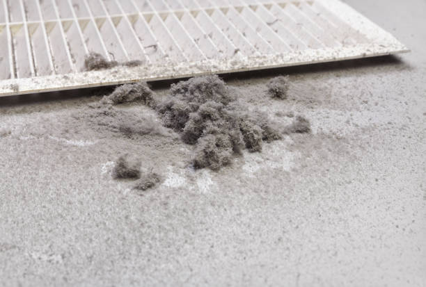 Best Local Air Duct Cleaning Services  in Skidway Lake, MI